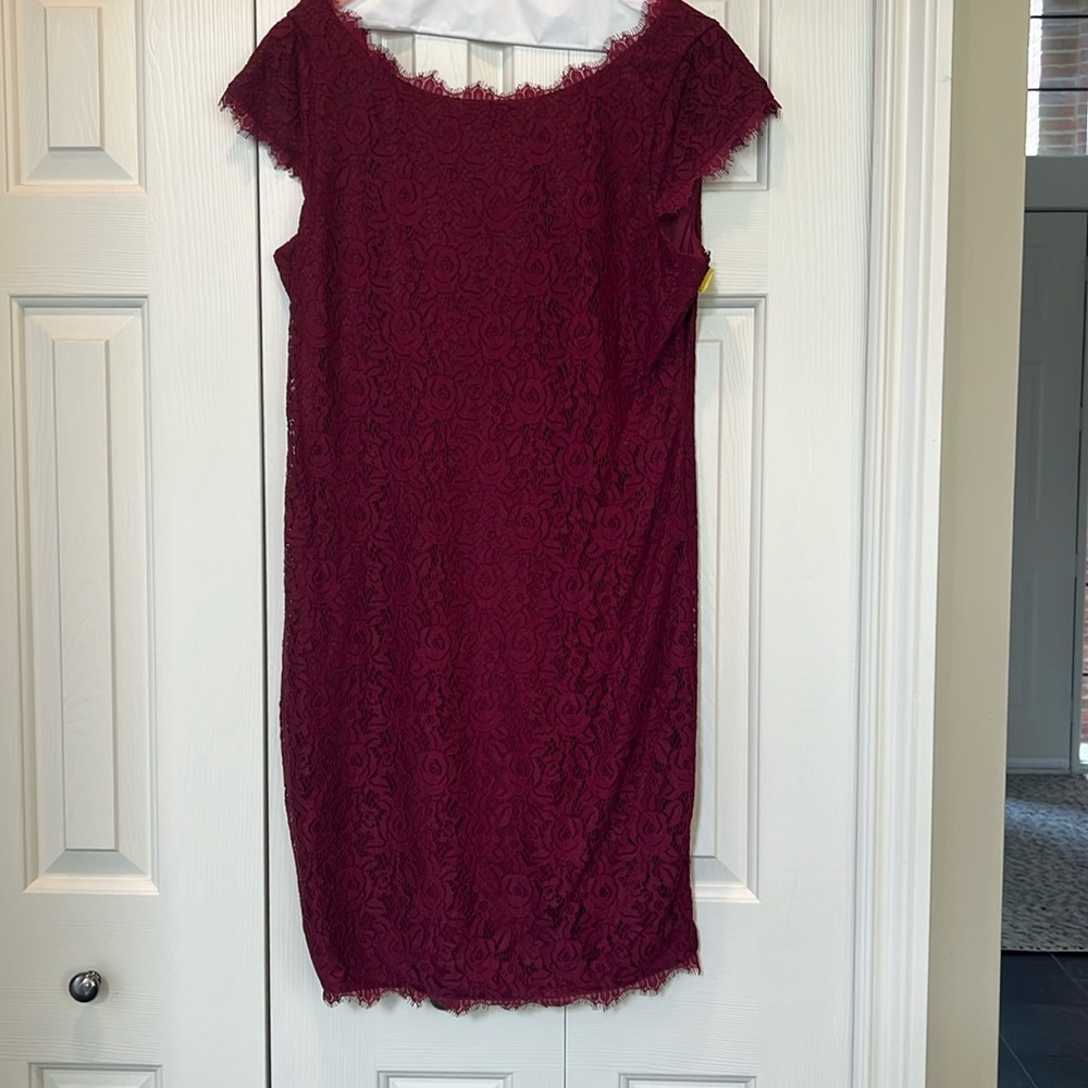Eliza J lace sheath dress with cap sleeves, size 14